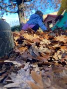 IMG-20241212-WA0021
